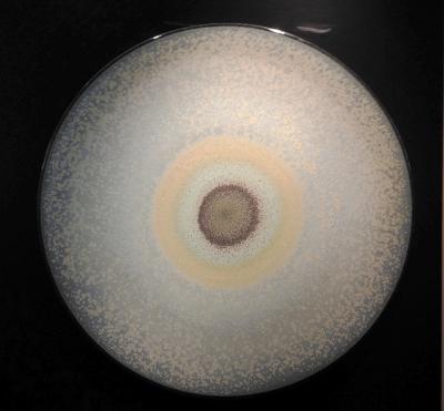 多彩釉瓷圓盤4 (2006)